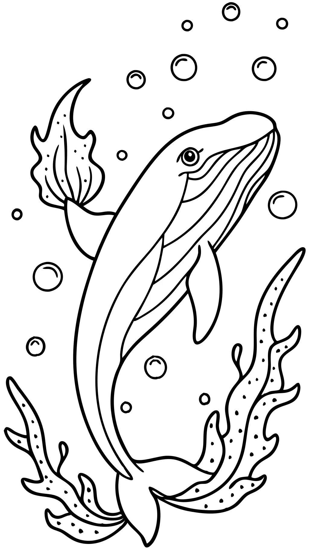 coloring page whale